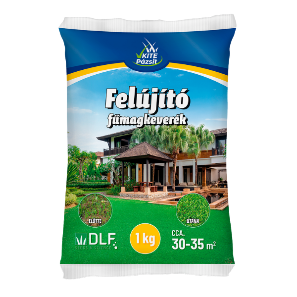 KITE Felújító fűmagkeverék 1 kg tasakos
